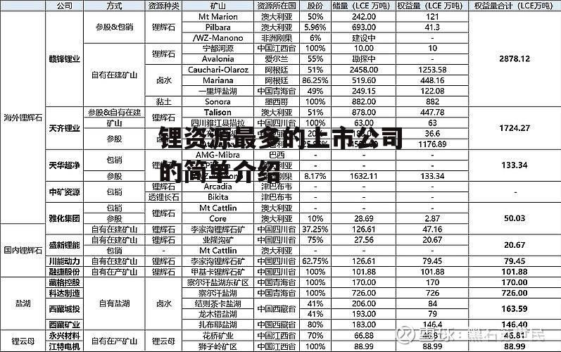 锂资源最多的上市公司的简单介绍