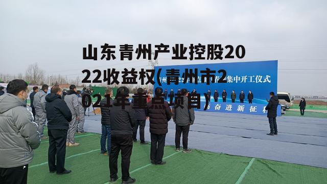 山东青州产业控股2022收益权(青州市2021年重点项目)