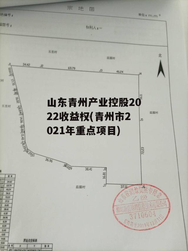 山东青州产业控股2022收益权(青州市2021年重点项目)