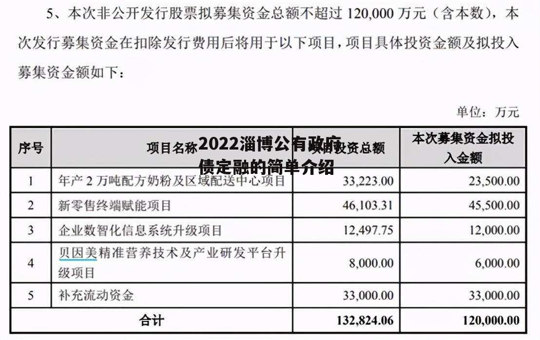 2022淄博公有政府债定融的简单介绍