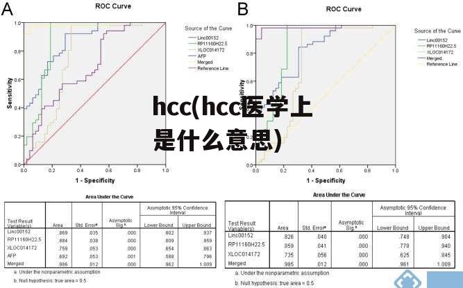 hcc(hcc医学上是什么意思)