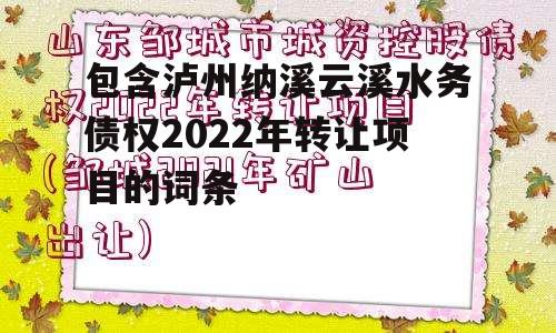 包含泸州纳溪云溪水务债权2022年转让项目的词条