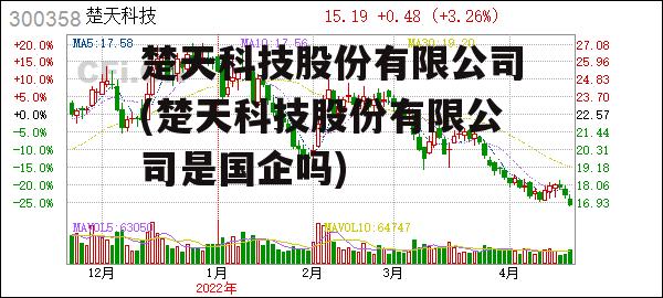 楚天科技股份有限公司(楚天科技股份有限公司是国企吗)