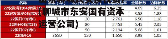 山东聊城民安债权资产(聊城市东安国有资本运营公司)