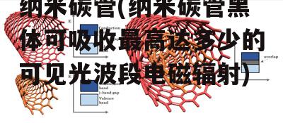 纳米碳管(纳米碳管黑体可吸收最高达多少的可见光波段电磁辐射)