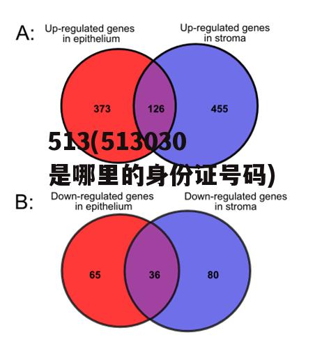 513(513030是哪里的身份证号码)