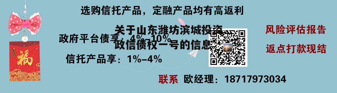 关于山东潍坊滨城投资政信债权一号的信息