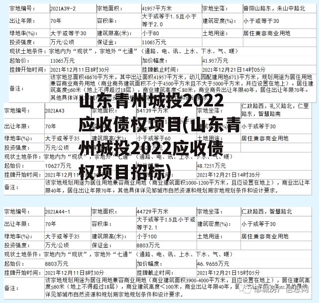 山东青州城投2022应收债权项目(山东青州城投2022应收债权项目招标)