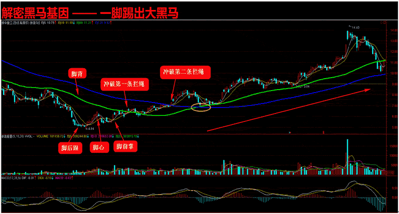 600320(600320新浪财经)