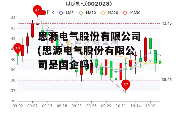 思源电气股份有限公司(思源电气股份有限公司是国企吗)