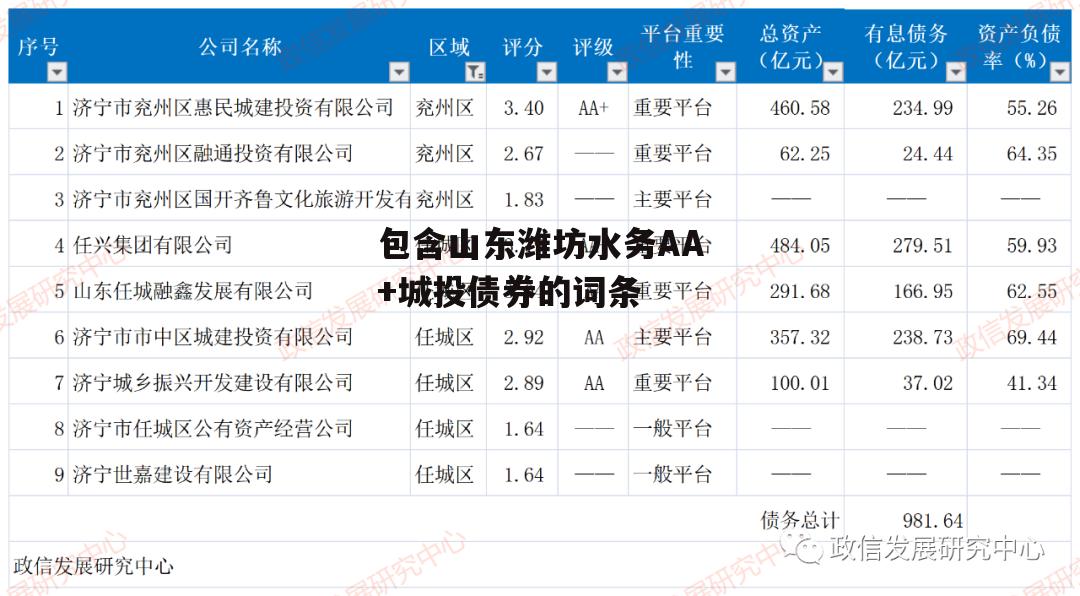 包含山东潍坊水务AA+城投债券的词条