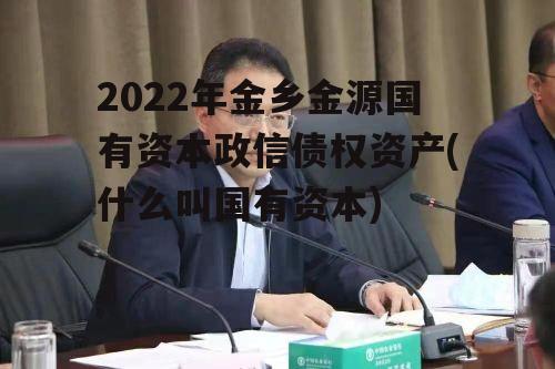 2022年金乡金源国有资本政信债权资产(什么叫国有资本)