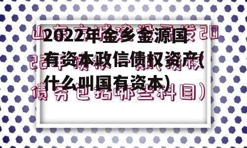 2022年金乡金源国有资本政信债权资产(什么叫国有资本)