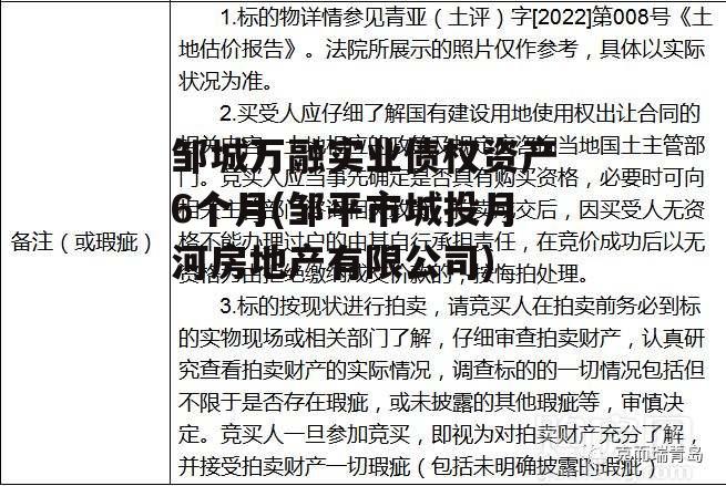 邹城万融实业债权资产6个月(邹平市城投月河房地产有限公司)