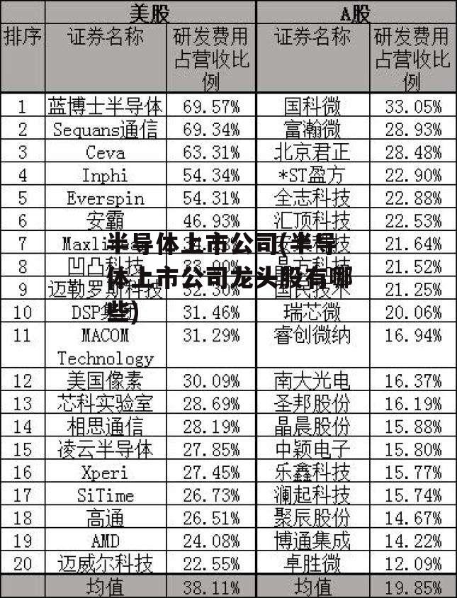 半导体上市公司(半导体上市公司龙头股有哪些)