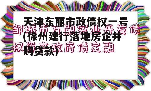 天津东丽市政债权一号(徐州建行落地房企并购贷款)