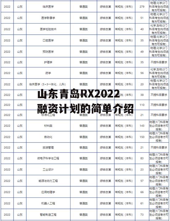 山东青岛RX2022融资计划的简单介绍