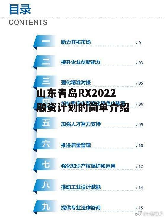 山东青岛RX2022融资计划的简单介绍