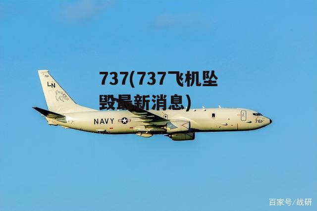 737(737飞机坠毁最新消息)