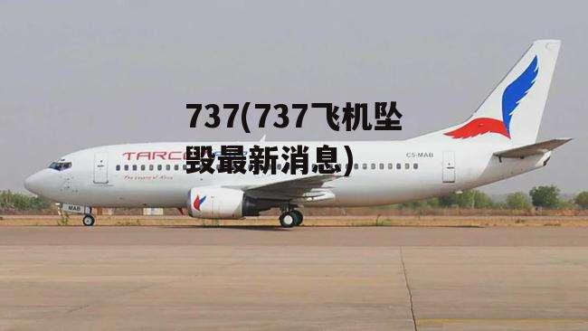 737(737飞机坠毁最新消息)