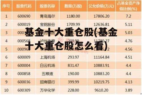 基金十大重仓股(基金十大重仓股怎么看)