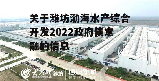 关于潍坊渤海水产综合开发2022政府债定融的信息