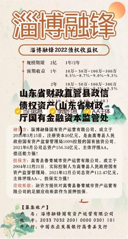 山东省财政直管县政信债权资产(山东省财政厅国有金融资本监管处)