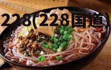 228(228国道)