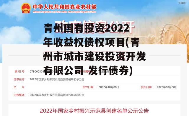 青州国有投资2022年收益权债权项目(青州市城市建设投资开发有限公司 发行债券)