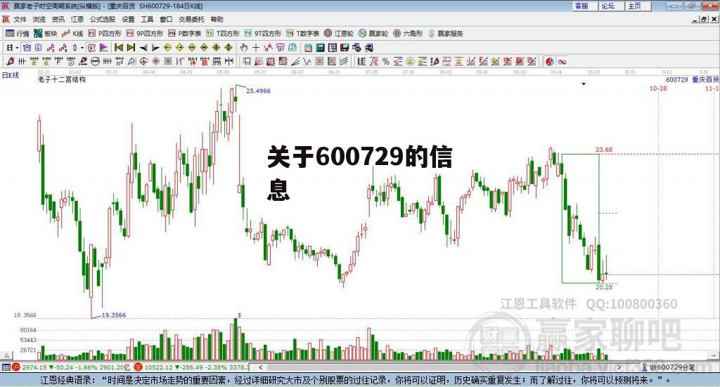 关于600729的信息