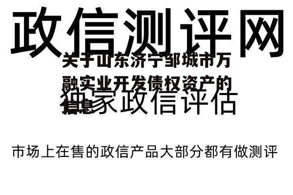 关于山东济宁邹城市万融实业开发债权资产的信息