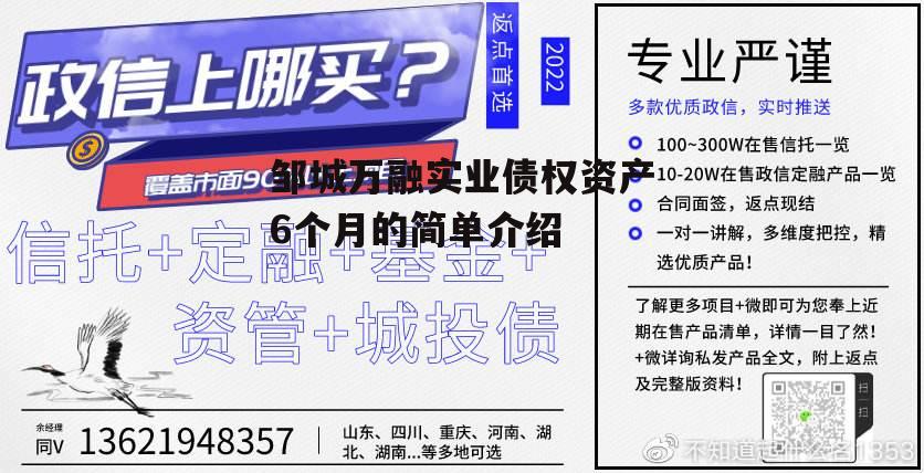 邹城万融实业债权资产6个月的简单介绍