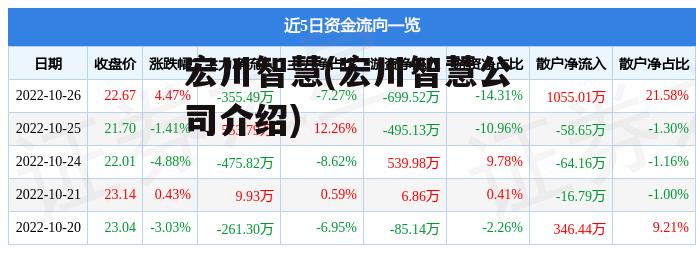 宏川智慧(宏川智慧公司介绍)