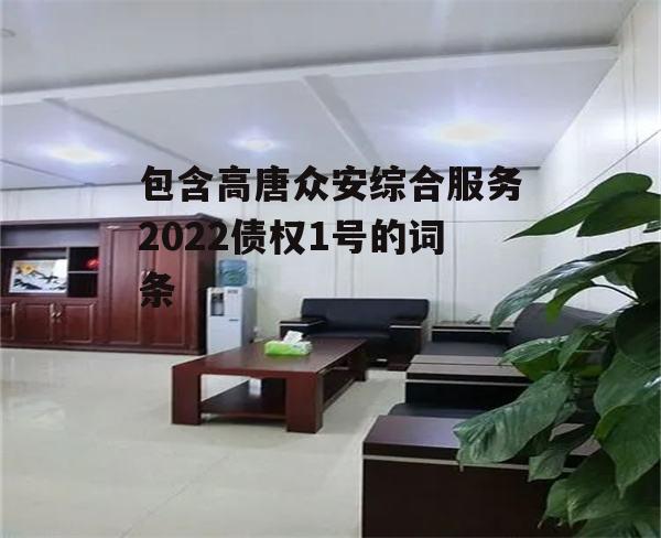 包含高唐众安综合服务2022债权1号的词条