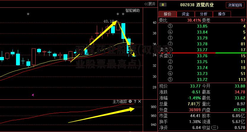 双鹭药业股票(双鹭药业股票最高点)