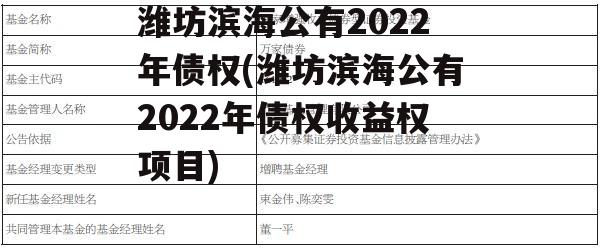 潍坊滨海公有2022年债权(潍坊滨海公有2022年债权收益权项目)