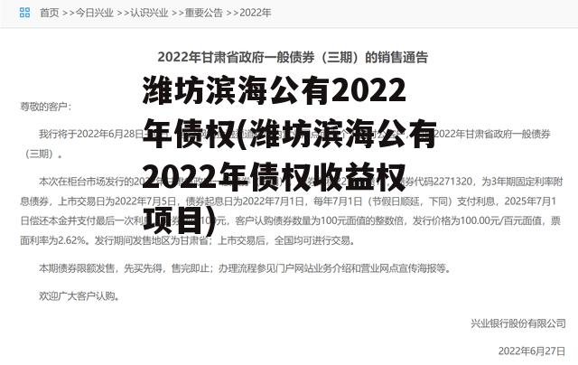 潍坊滨海公有2022年债权(潍坊滨海公有2022年债权收益权项目)