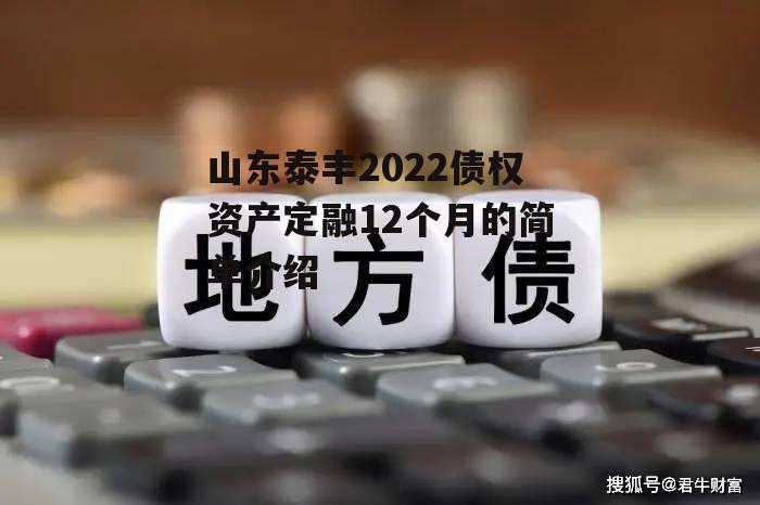 山东泰丰2022债权资产定融12个月的简单介绍