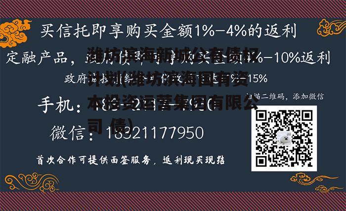 潍坊滨海新城公有债权计划(潍坊滨海国有资本投资运营集团有限公司 债)