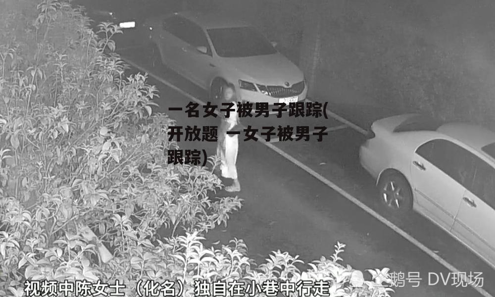 一名女子被男子跟踪(开放题 一女子被男子跟踪)