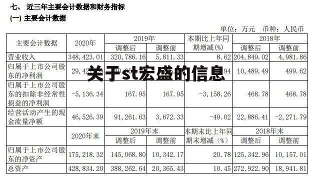 关于st宏盛的信息