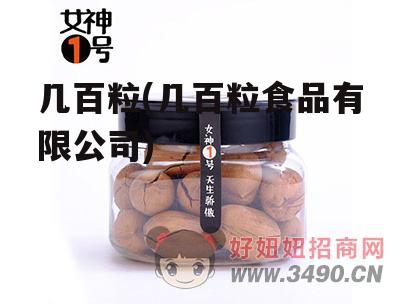 几百粒(几百粒食品有限公司)