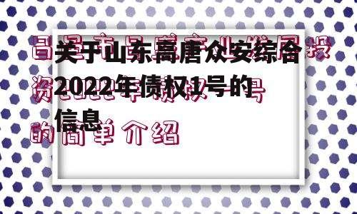 关于山东高唐众安综合2022年债权1号的信息