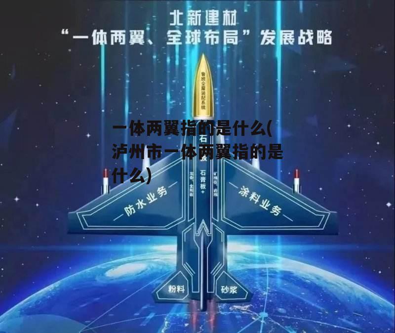 一体两翼指的是什么(泸州市一体两翼指的是什么)