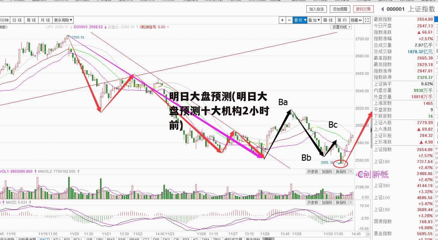 明日大盘预测(明日大盘预测十大机构2小时前)