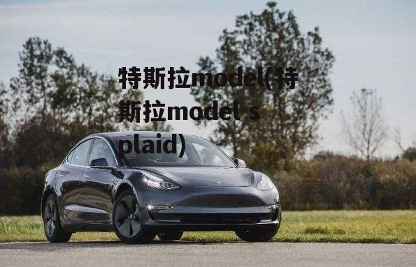 特斯拉model(特斯拉model s plaid)