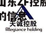 关于山东ZF控股债权资产的信息