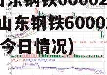 山东钢铁600022(山东钢铁600022今日情况)