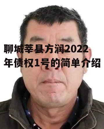 聊城莘县方润2022年债权1号的简单介绍