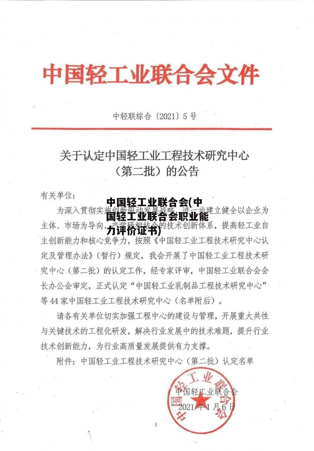 中国轻工业联合会(中国轻工业联合会职业能力评价证书)